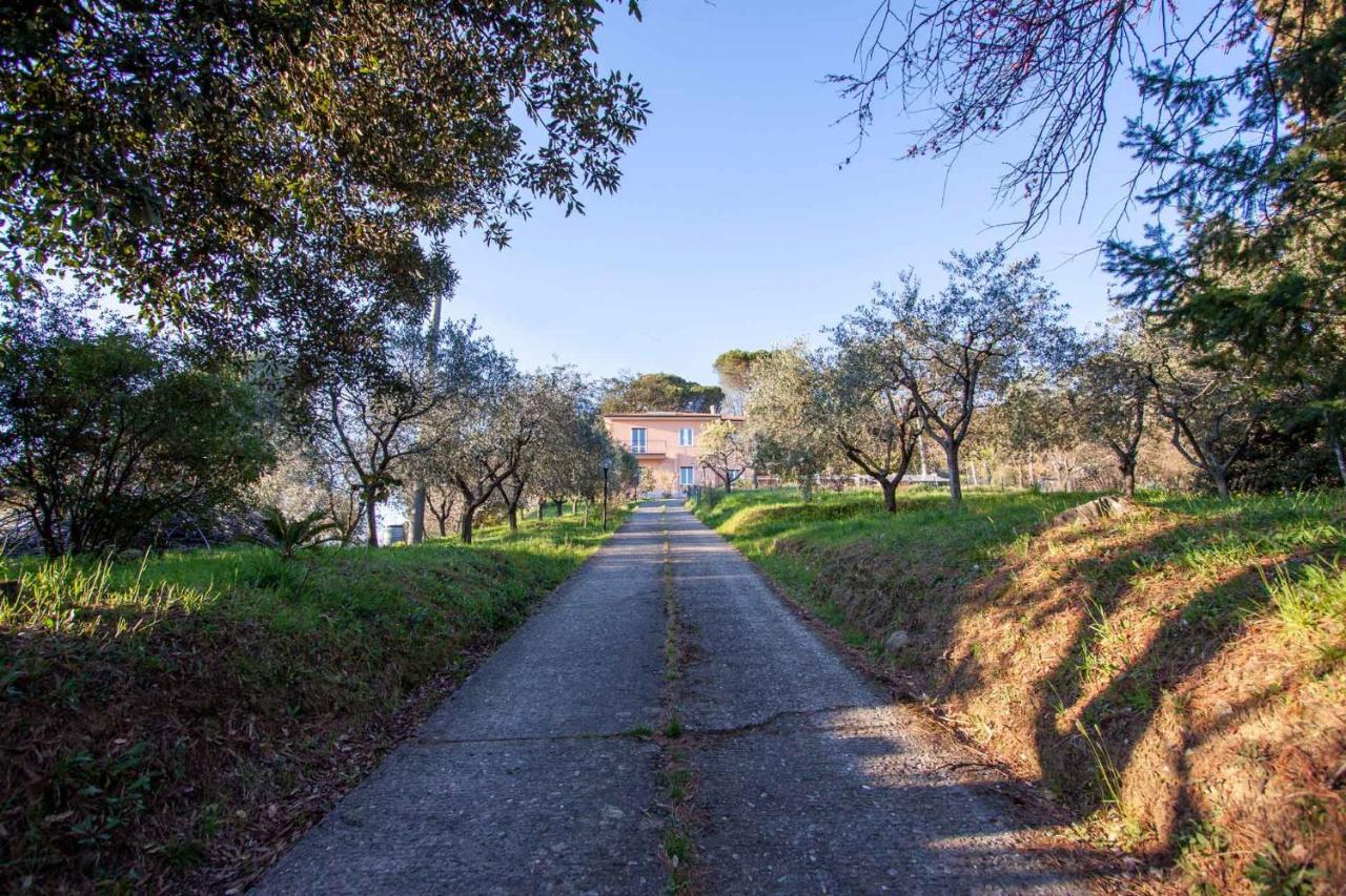 La Camelia Bianca B&B Lerici Exterior photo